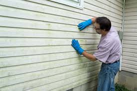 Best Storm Damage Siding Repair  in Bluff City, TN